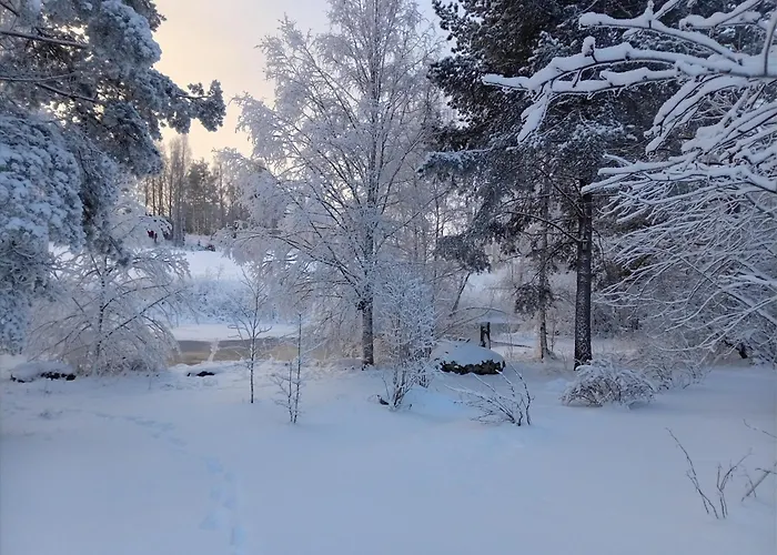 Riverside Cottage Aeaenekoski Sauna And Hot Tub Northern Lights * Äänekoski