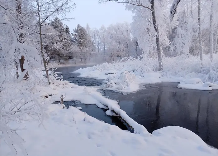 Riverside Cottage Aeaenekoski Sauna And Hot Tub Northern Lights 木屋 Äänekoski