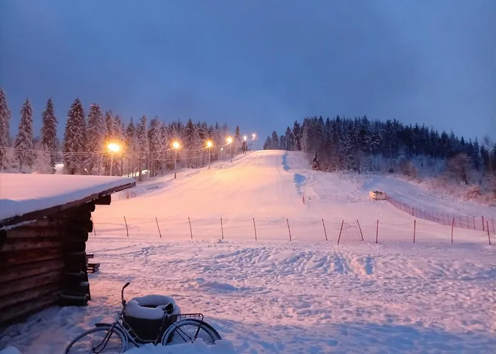 木屋 Riverside Cottage Aeaenekoski Sauna And Hot Tub Northern Lights