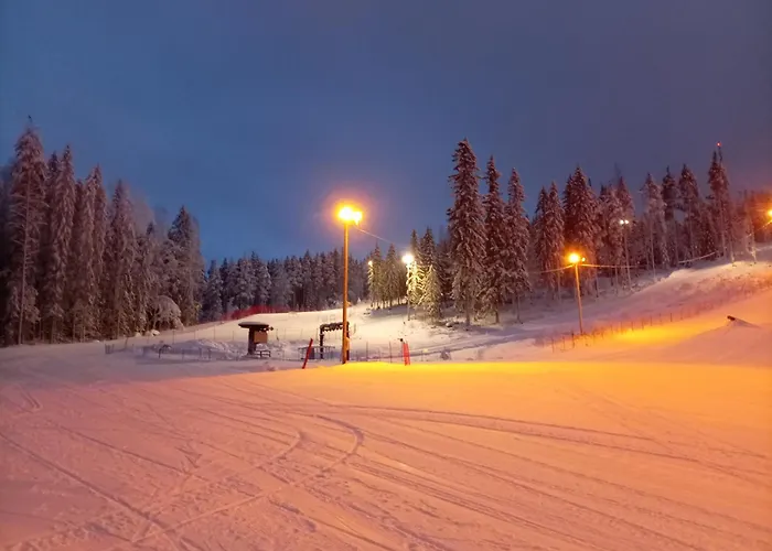 Riverside Cottage Aeaenekoski Sauna And Hot Tub Northern Lights * Äänekoski