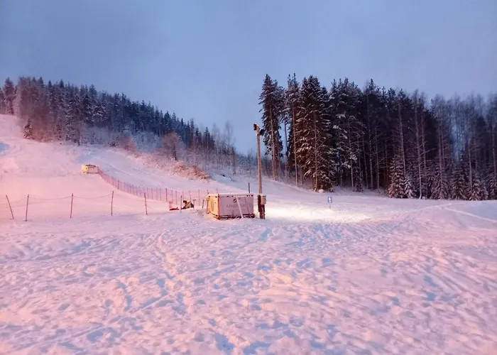 木屋 Riverside Cottage Aeaenekoski Sauna And Hot Tub Northern Lights Äänekoski