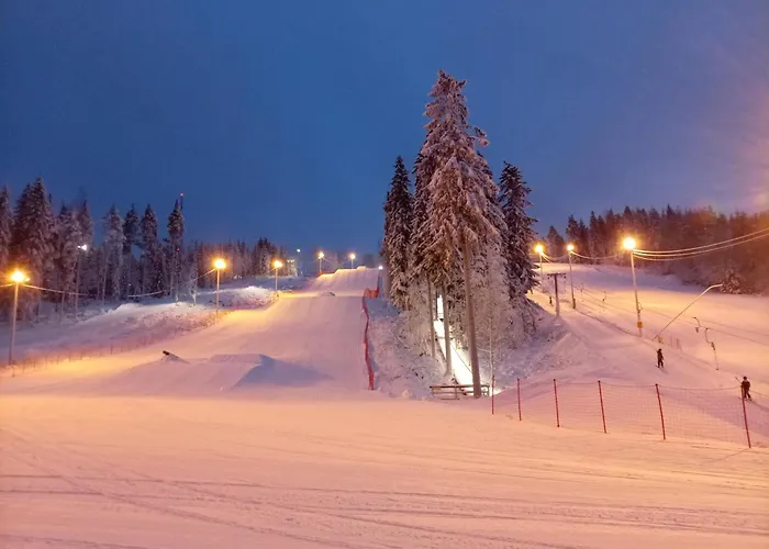 Riverside Cottage Aeaenekoski Sauna And Hot Tub Northern Lights