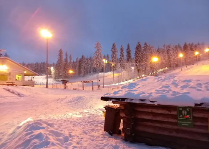 Riverside Sauna And Hot Tub Northern Lights Äänekoski