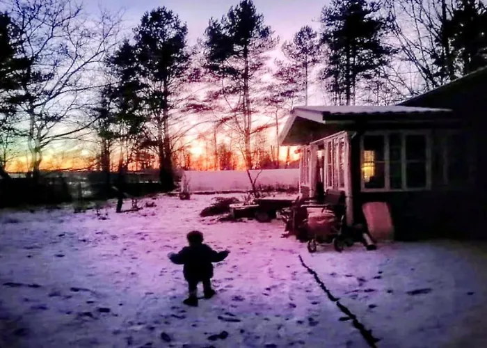 木屋 Riverside Cottage Aeaenekoski Sauna And Hot Tub Northern Lights Äänekoski