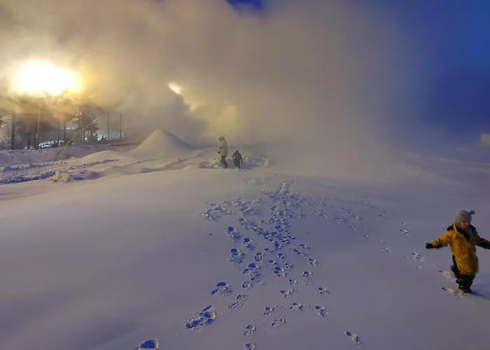 木屋 Riverside Cottage Aeaenekoski Sauna And Hot Tub Northern Lights *