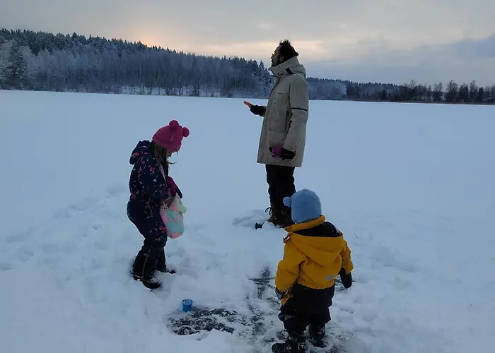 Riverside Cottage Aeaenekoski Sauna And Hot Tub Northern Lights * Äänekoski