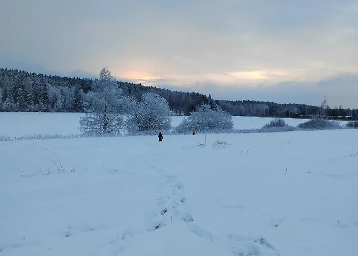Riverside Cottage Aeaenekoski Sauna And Hot Tub Northern Lights *