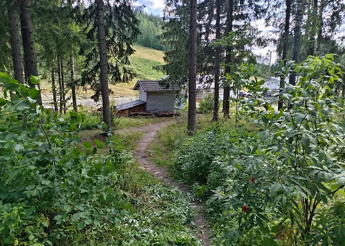 Chalet Riverside Sauna And Hot Tub Northern Lights *