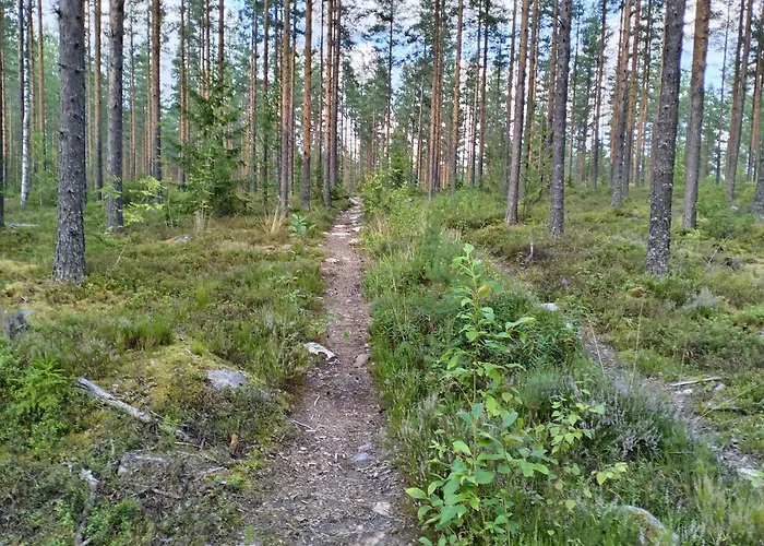 Riverside Cottage Aeaenekoski Sauna And Hot Tub Northern Lights 木屋 Äänekoski