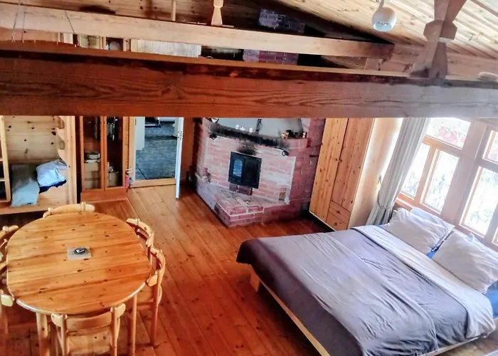 Riverside Cottage Aeaenekoski Sauna And Hot Tub Northern Lights 木屋