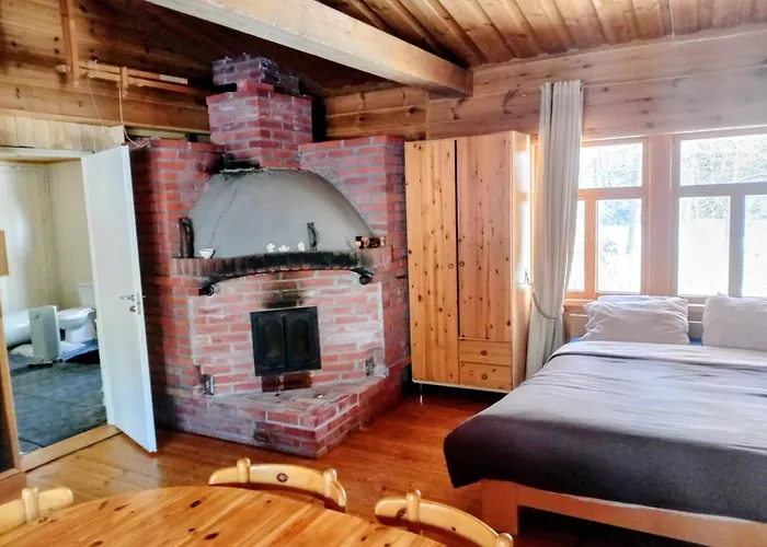 Riverside Cottage Aeaenekoski Sauna And Hot Tub Northern Lights 木屋 Äänekoski