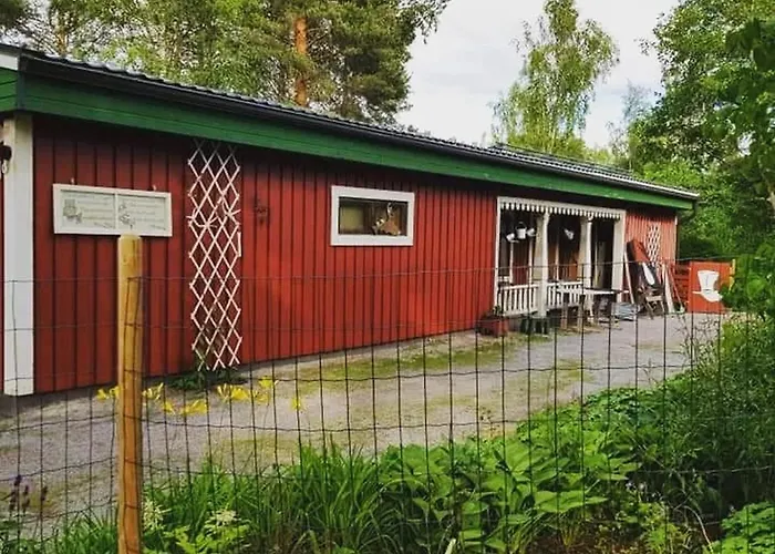 Riverside Cottage Aeaenekoski Sauna And Hot Tub Northern Lights 木屋 Äänekoski
