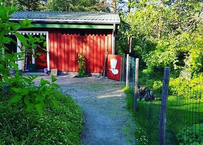 Riverside Cottage Aeaenekoski Sauna And Hot Tub Northern Lights * Äänekoski