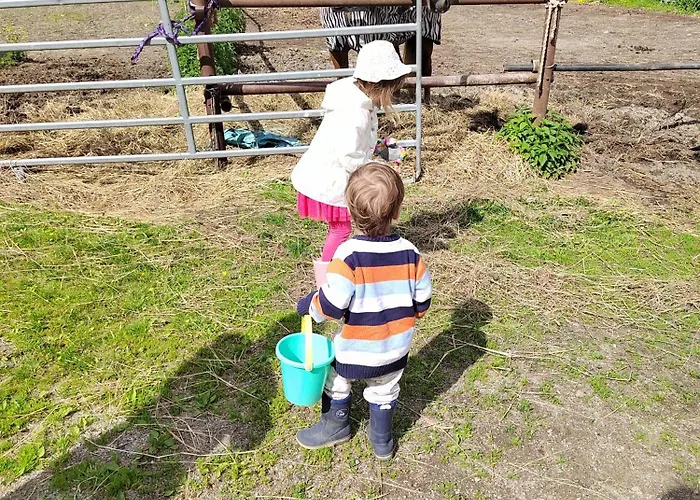 Riverside Cottage Aeaenekoski Sauna And Hot Tub Northern Lights Äänekoski