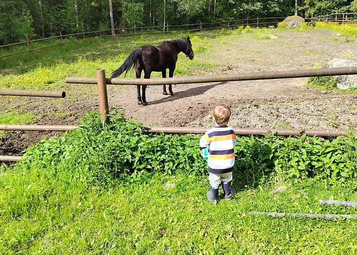Riverside Cottage Aeaenekoski Sauna And Hot Tub Northern Lights Äänekoski